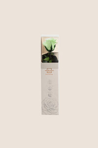 Blanc / Rose pastel / Vert pastel
