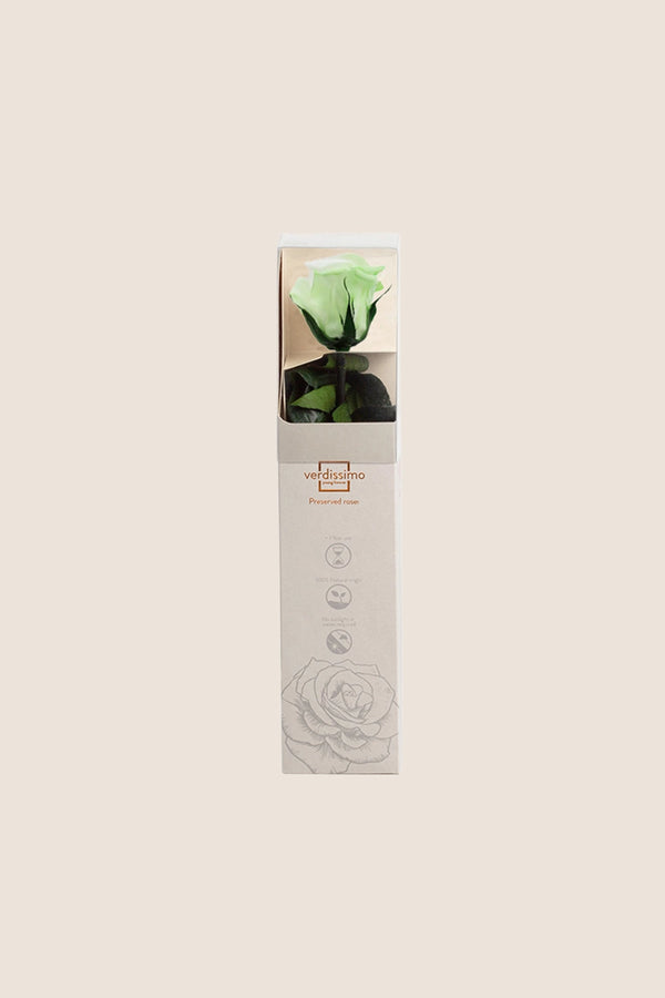 Amorosa Mini Gift Box - Pack 25 u.