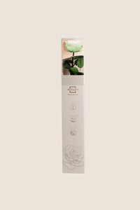 Blanc / Rose pastel / Vert pastel