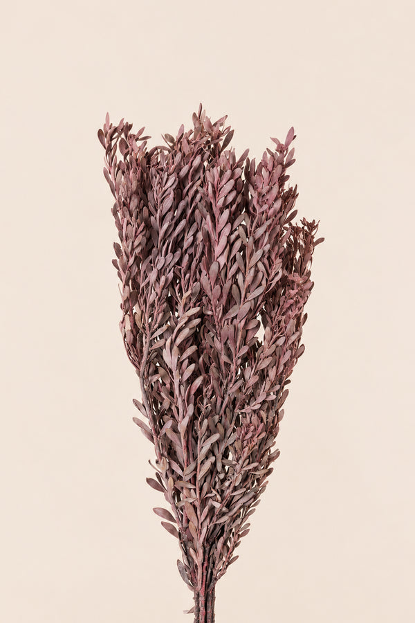 Pubescens