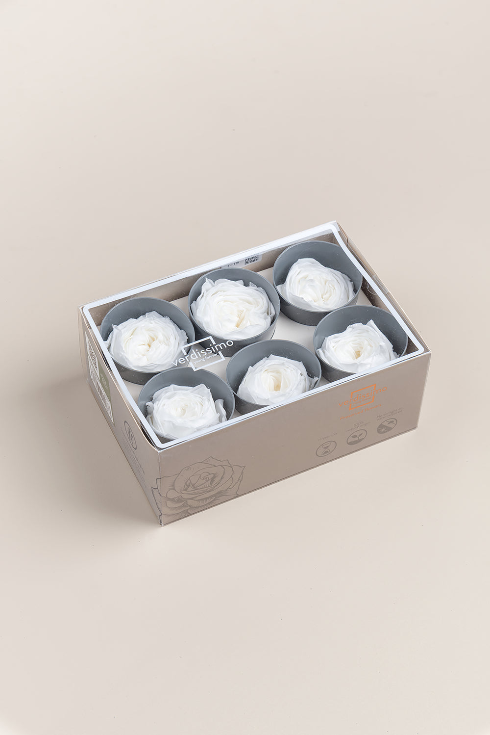 Rose Garden - Box mit 6 Köpfen