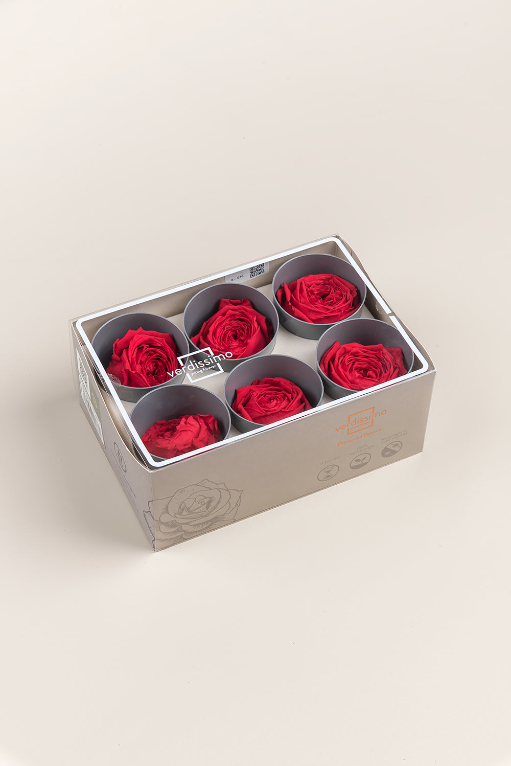 Rose Garden - Box mit 6 Köpfen