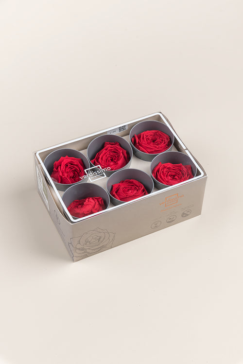Rose Garden - Box 6 heads