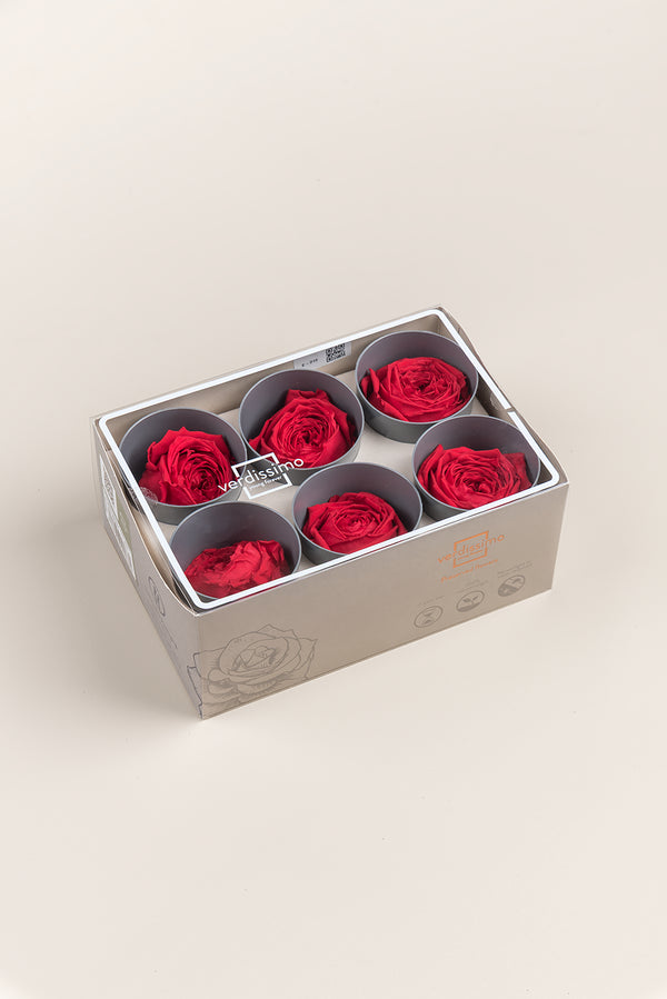 Rose Garden - Box 6 heads
