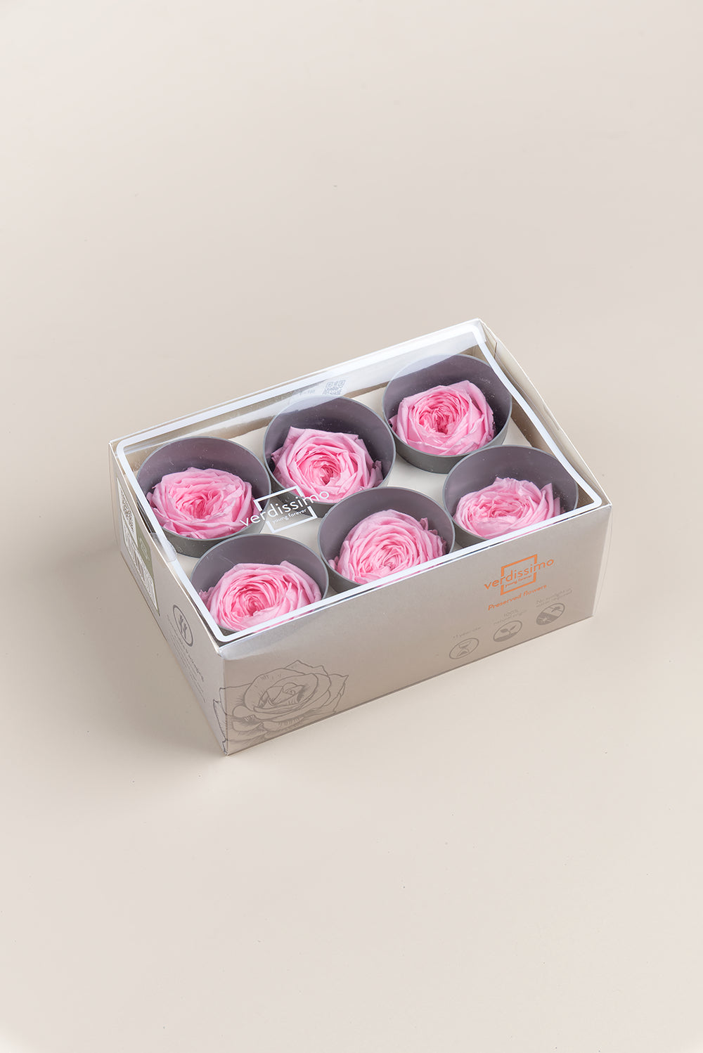 Rose Garden - Box mit 6 Köpfen