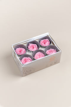 Pastellrosa