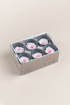 Weiß / Pastellrosa