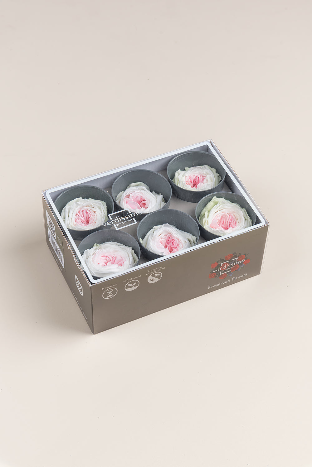 Rose Garden - Box mit 6 Köpfen