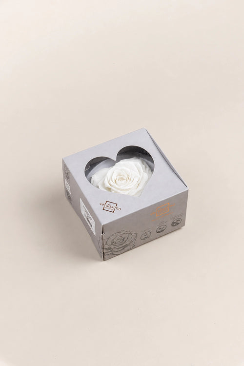 Rosenherz Klein – Box 1 Kopf