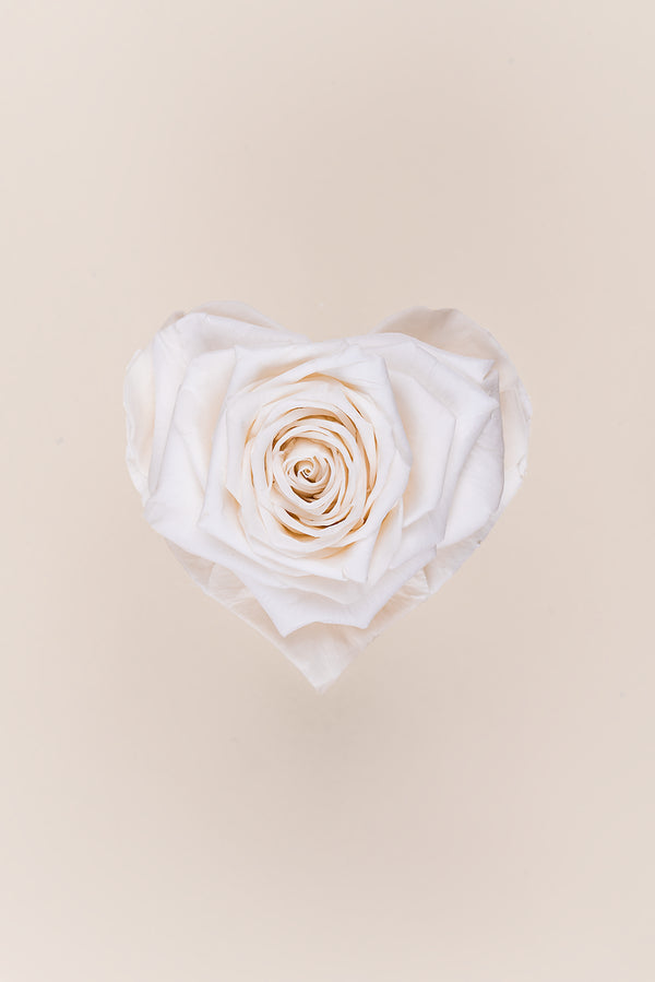 Rose Heart Small - Box 1 head