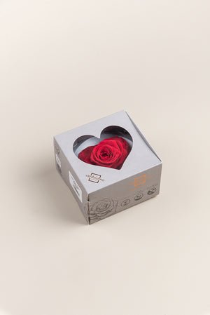Cœur rose petit - Boîte 1 tête