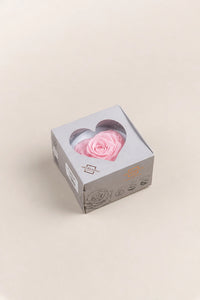Rose pâle