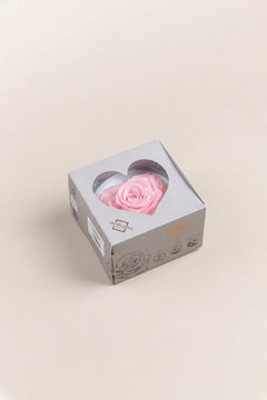 Pastellrosa