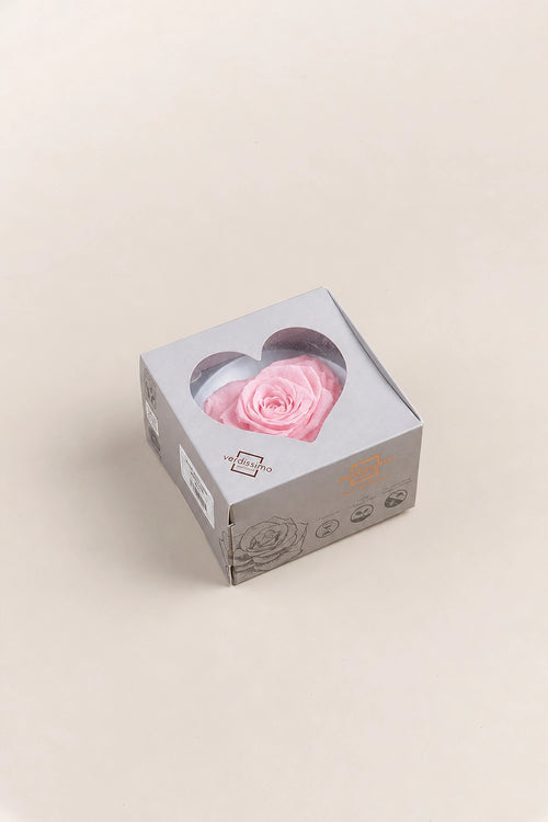Rosenherz Klein – Box 1 Kopf