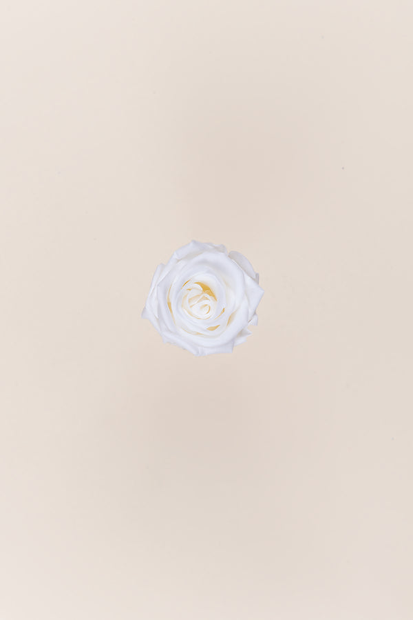Rose Medium - Box 8 heads