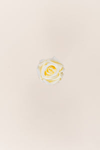 Crème Vanille