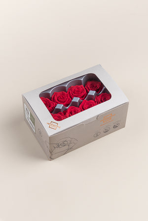 Rose Medium - Boîte 8 têtes