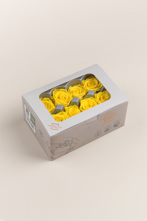 Rosa Mediana - Caja de 8 cabezas