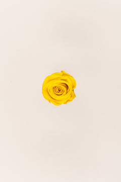 Jaune vif