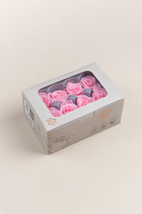 Rose pâle
