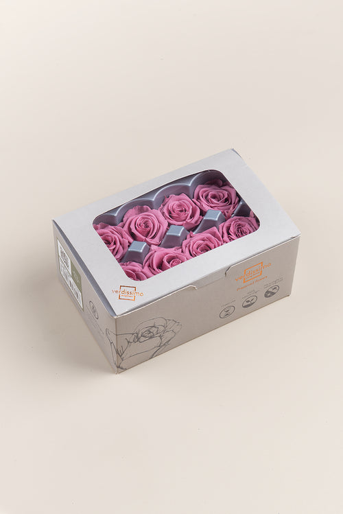 Rosa Mediana - Caja de 8 cabezas