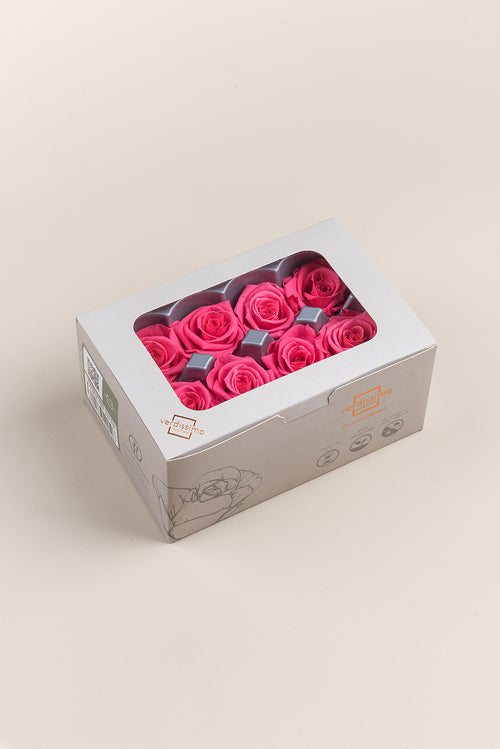 Rosa Mediana - Caja de 8 cabezas