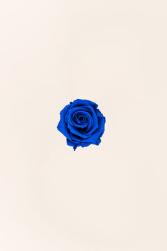 Bleu foncé