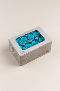 Bright Turquoise