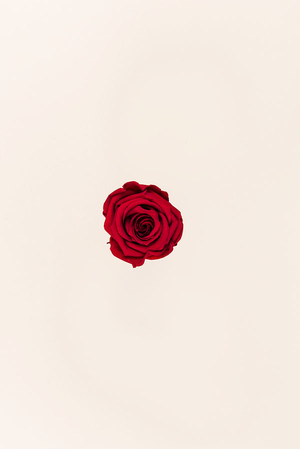 Rose Medium - Box 8 heads