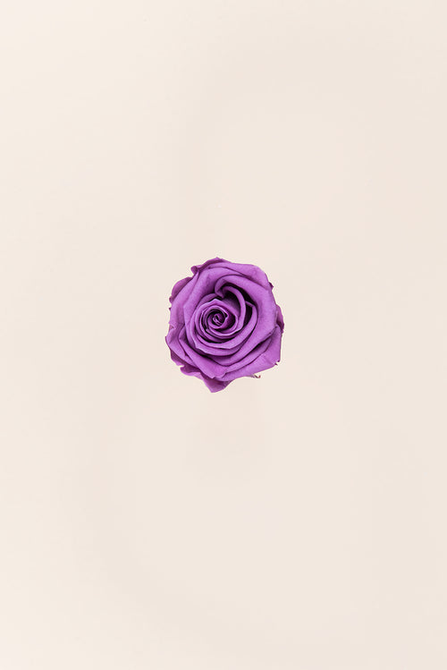 Rose médium en vrac - Paquet de 192 u.