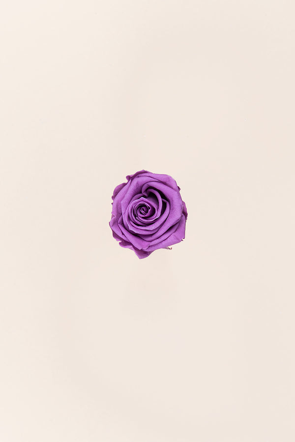 Rose Medium - Box 8 heads