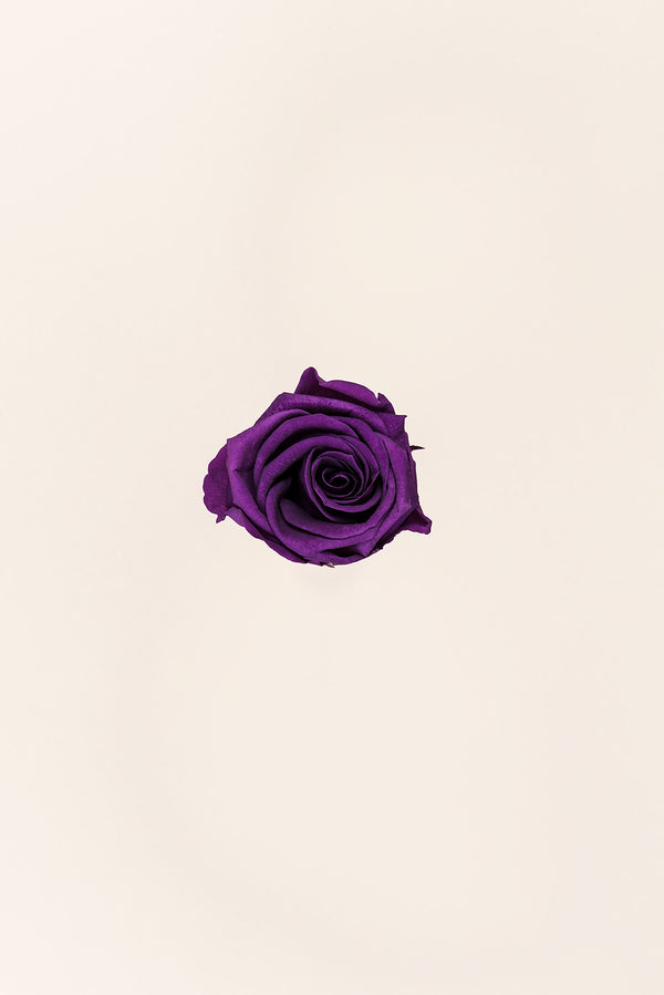 Rose Medium - Box 8 heads