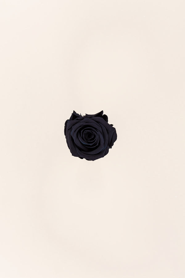 Rose Medium - Box 8 heads