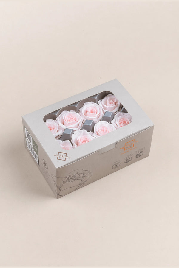 Rose Medium - Box 8 heads