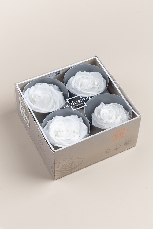 Rose Premium - Boîte 4 têtes