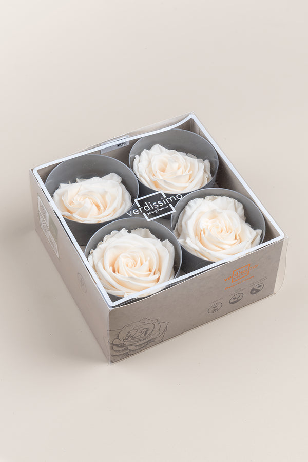 Rose Premium - Box 4 heads