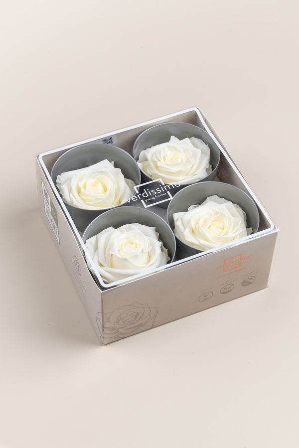 Rose Premium - Box 4 heads