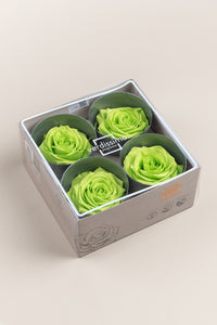 Vert citron