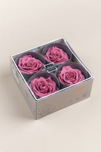 Cerise vintage