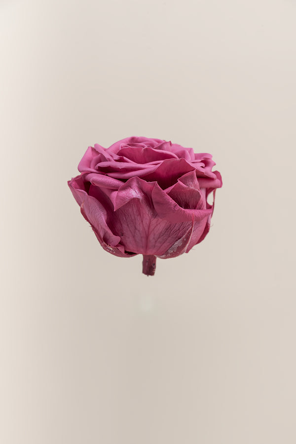 Rose Premium - Box 4 heads