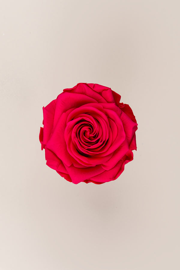 Rose Premium - Box 4 heads