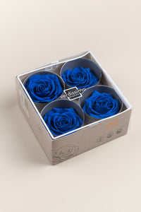 Bleu foncé