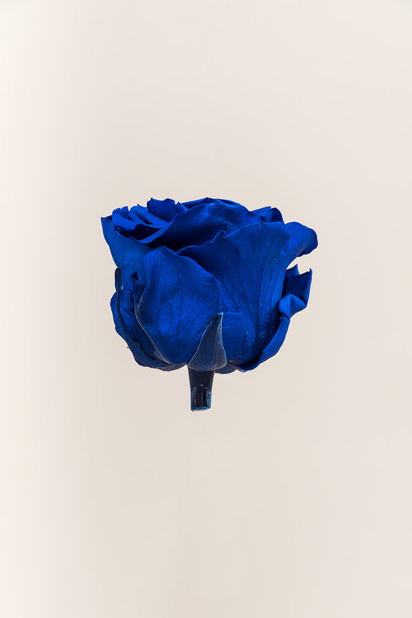 Rose Premium - Box 4 heads