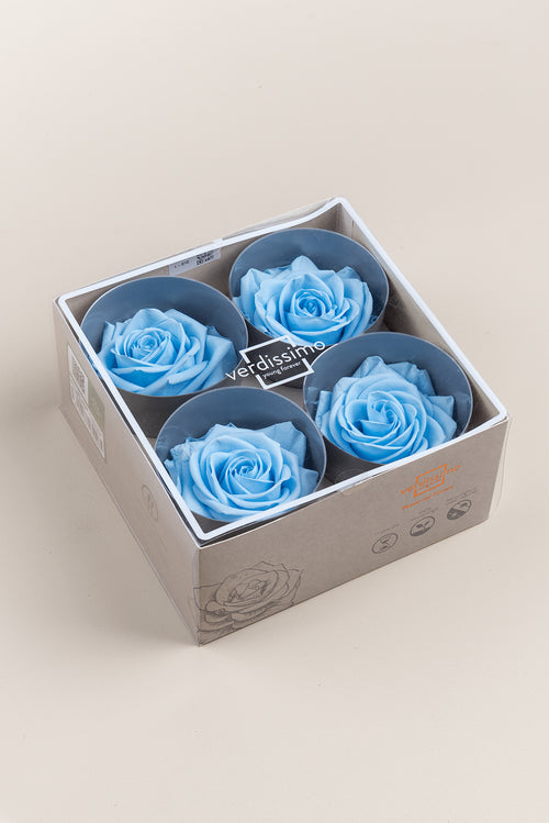 Rose Premium – Box mit 4 Köpfen