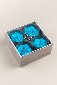 Turquoise vif