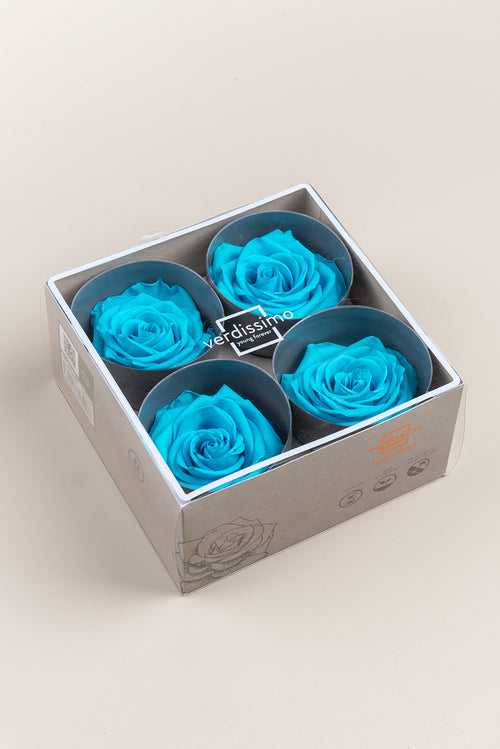 Rosa Premium - Caja de 4 cabezas