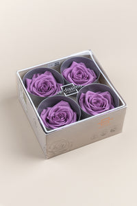 Lilas