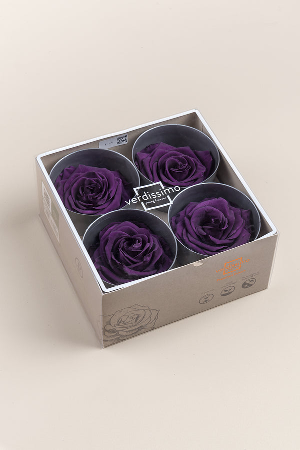 Rose Premium - Box 4 heads