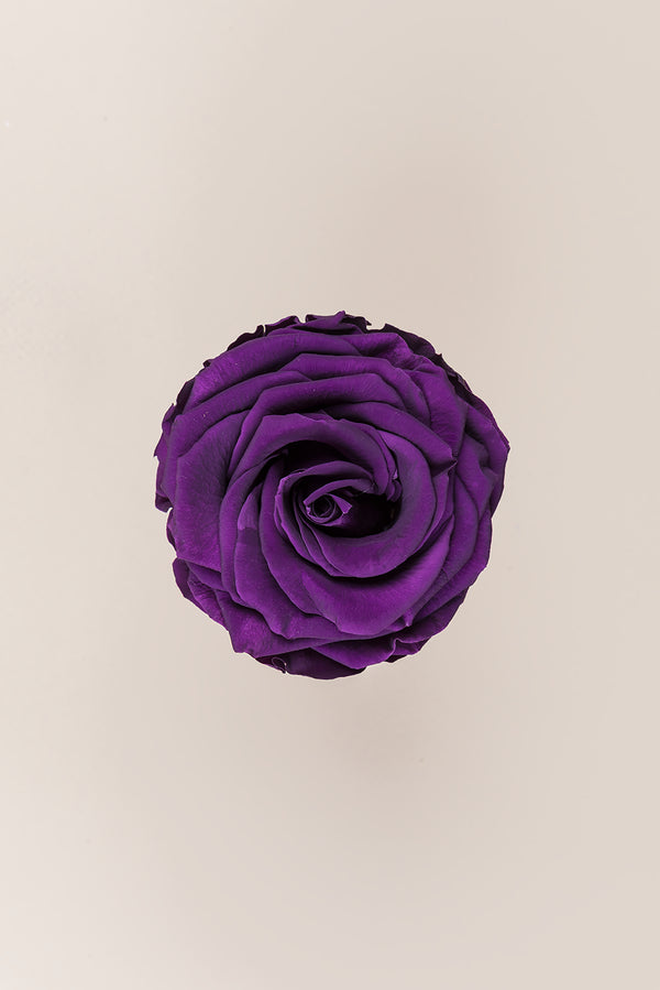 Rose Premium - Box 4 heads