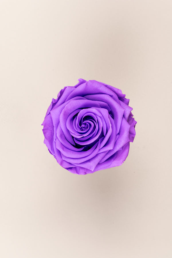 Rose Premium - Box 4 heads